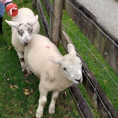 Sharlands Farm Bude